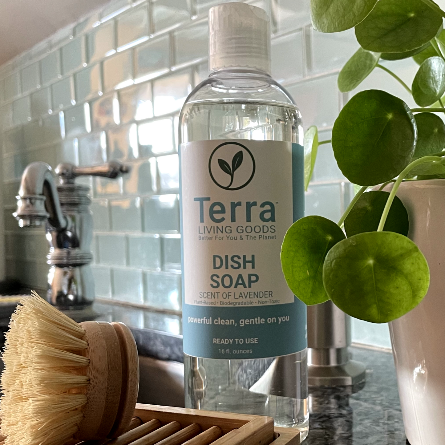 Low-Scent Dish Soap | Non-Toxic, Grease-Cutting