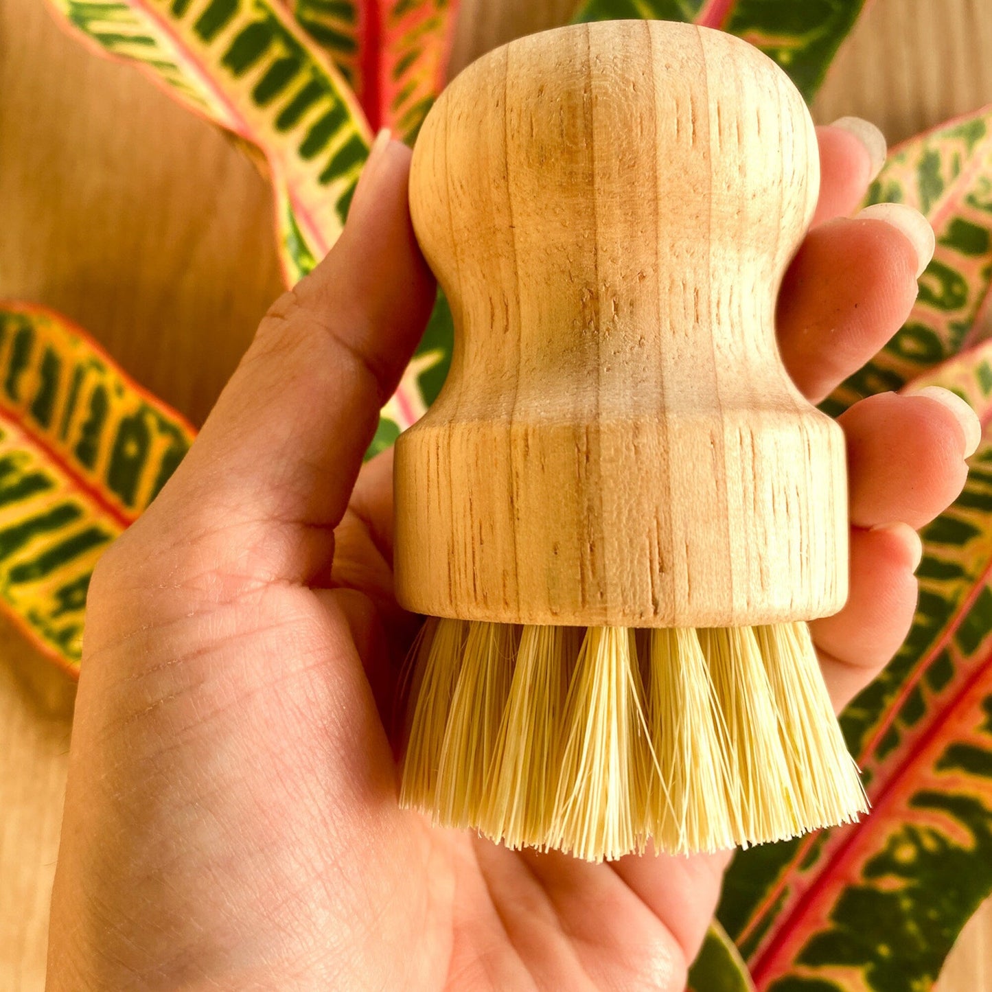 Sustainable Dish Brush, Eco Friendly Kitchen Scrub Brush for Dish Washing