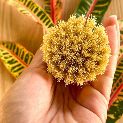 Sustainable Dish Brush, Eco Friendly Kitchen Scrub Brush for Dish Washing