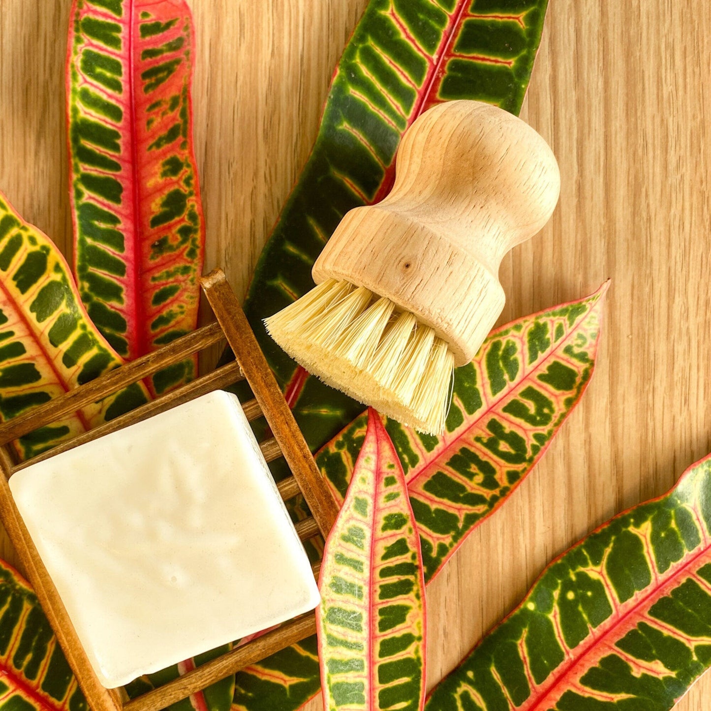 Sustainable Dish Brush, Eco Friendly Kitchen Scrub Brush for Dish Washing